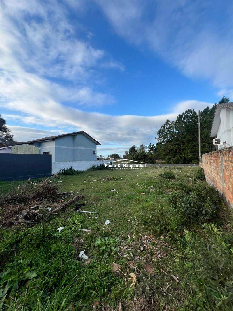 Terreno à venda, 318M2 - Foto 6