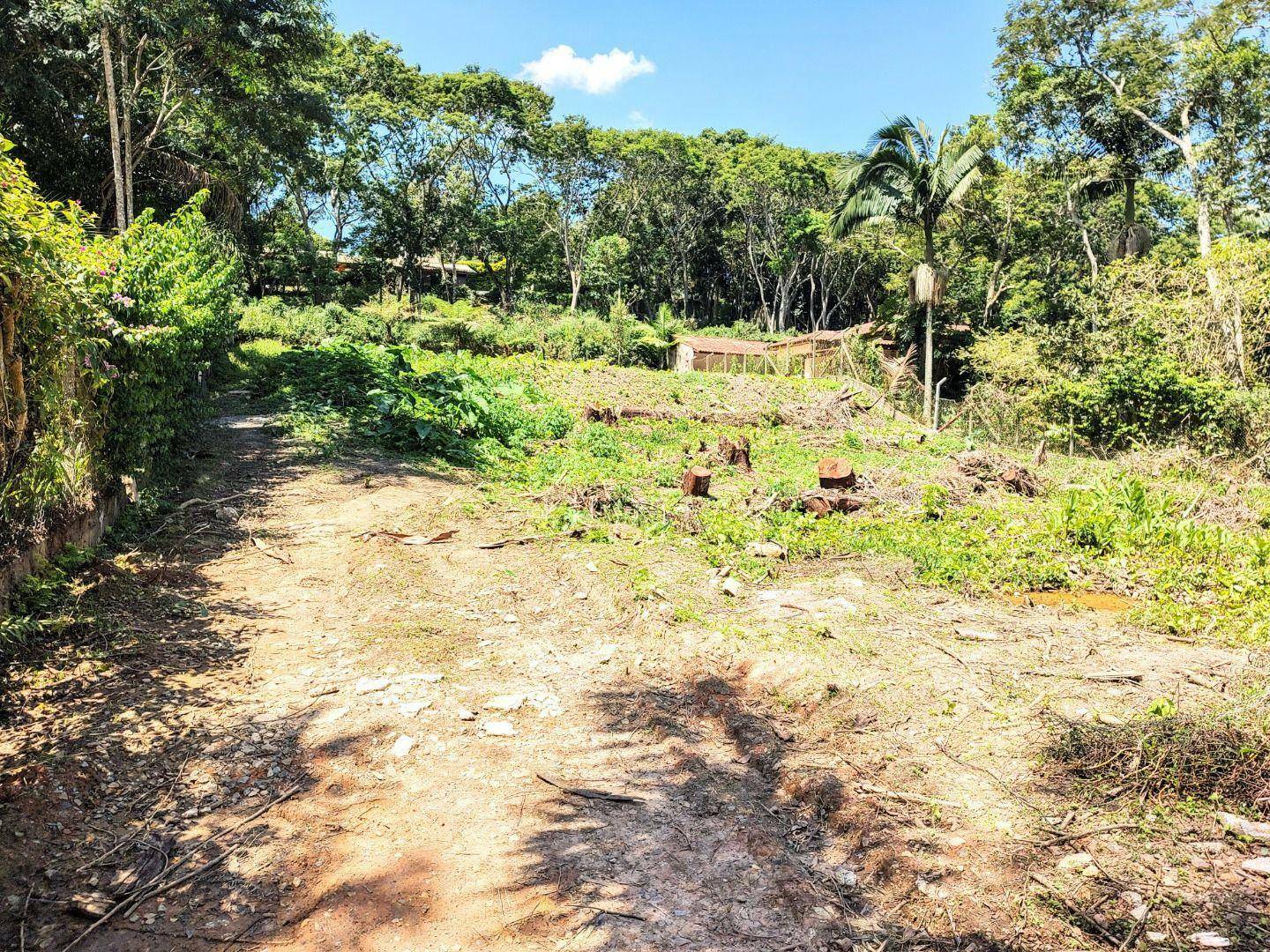 Loteamento e Condomínio à venda, 1290M2 - Foto 4