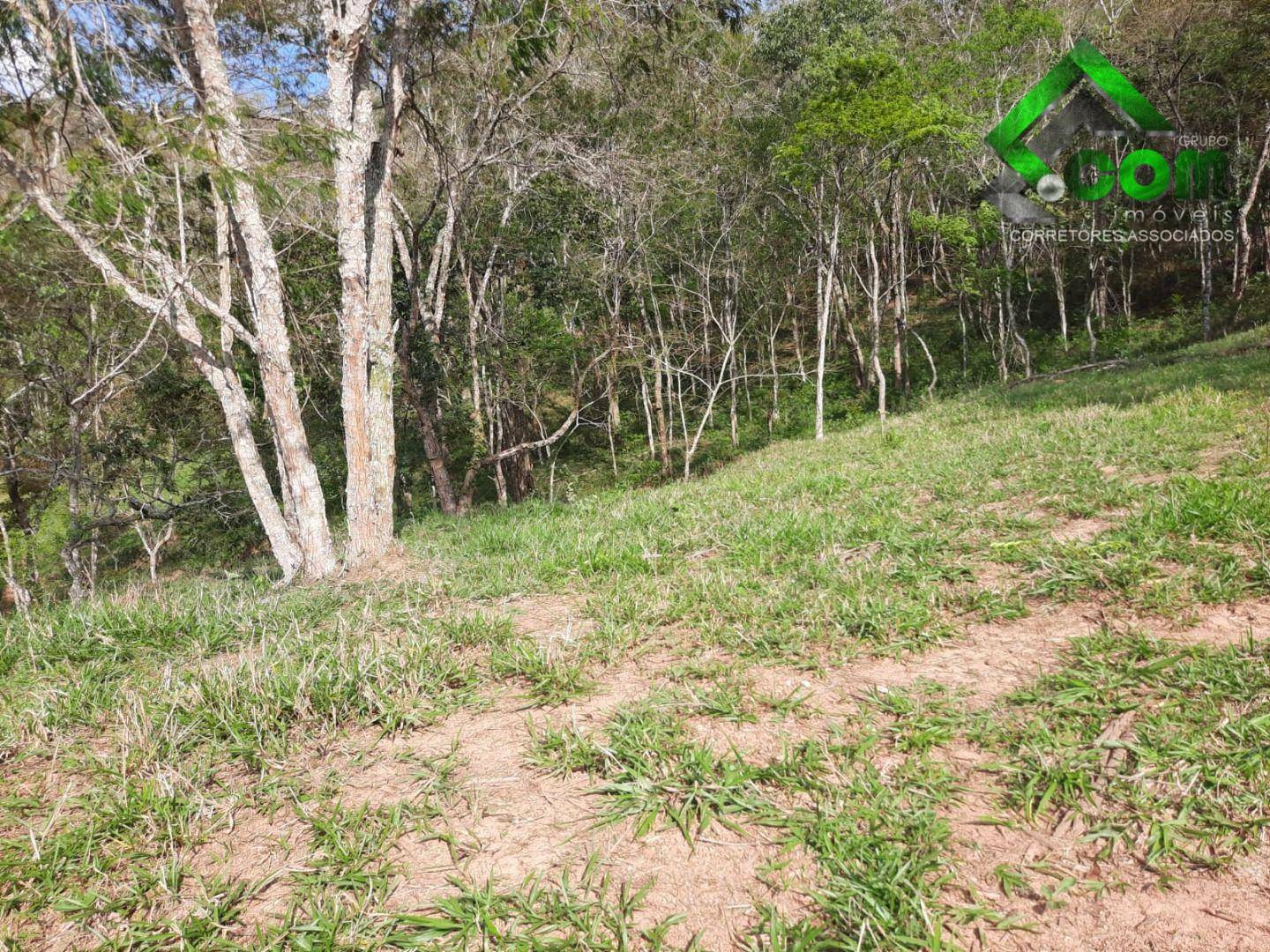 Terreno à venda, 70000M2 - Foto 6