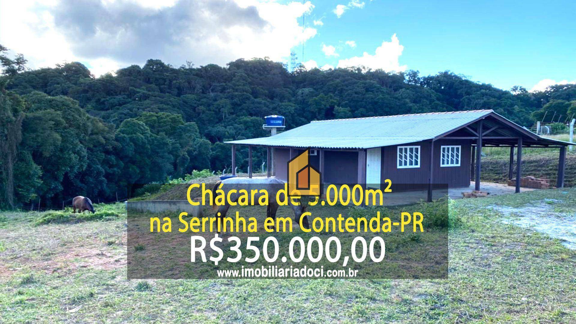 Chácara, 2 quartos, 5000 m² - Foto 1