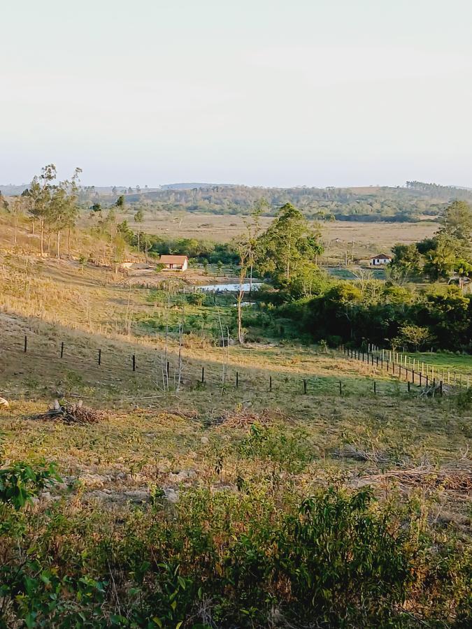 Fazenda à venda com 2 quartos, 146000m² - Foto 1