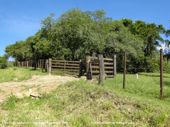 Fazenda à venda com 3 quartos, 160000m² - Foto 26