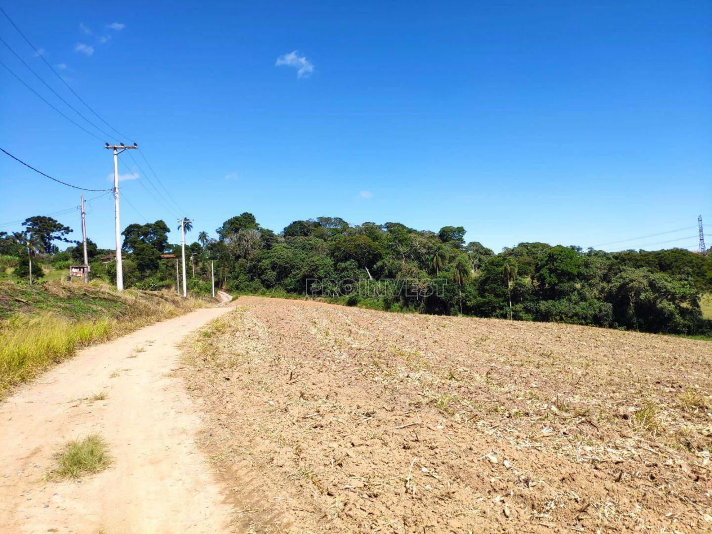 Sítio à venda com 4 quartos, 200m² - Foto 22