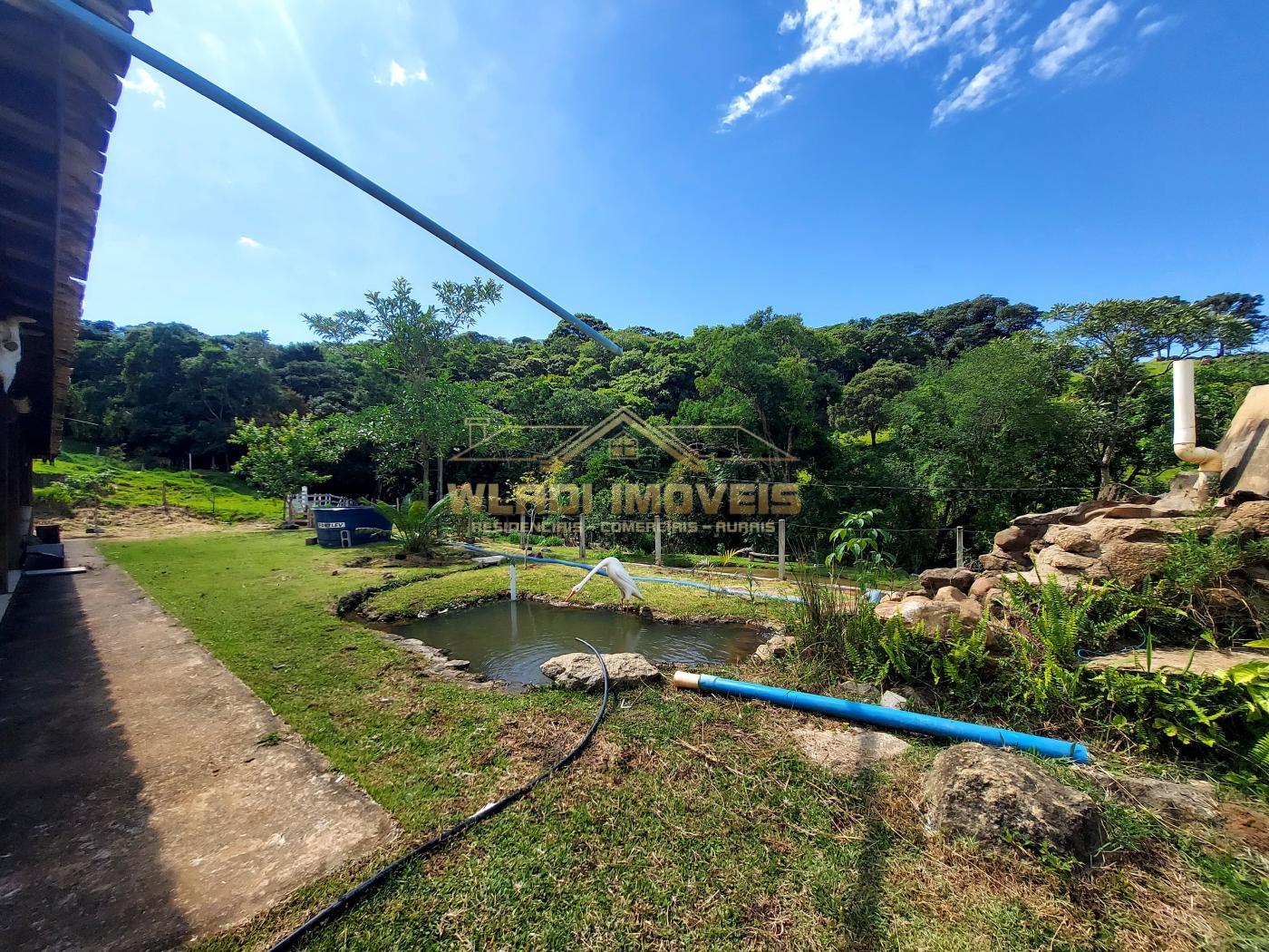 Fazenda à venda com 3 quartos, 30000m² - Foto 8