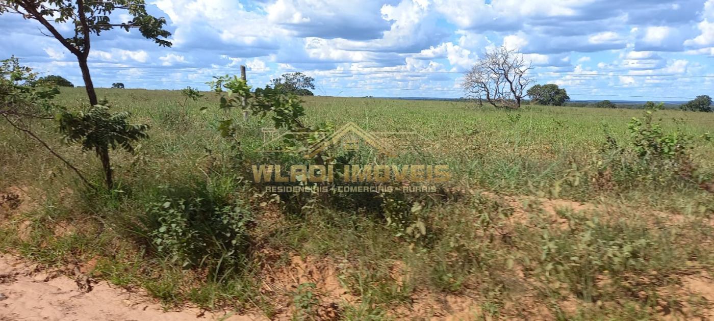 Fazenda à venda, 3800m² - Foto 9