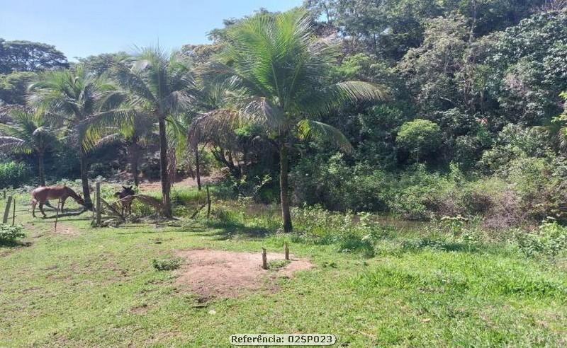 Fazenda à venda com 2 quartos, 110000m² - Foto 14