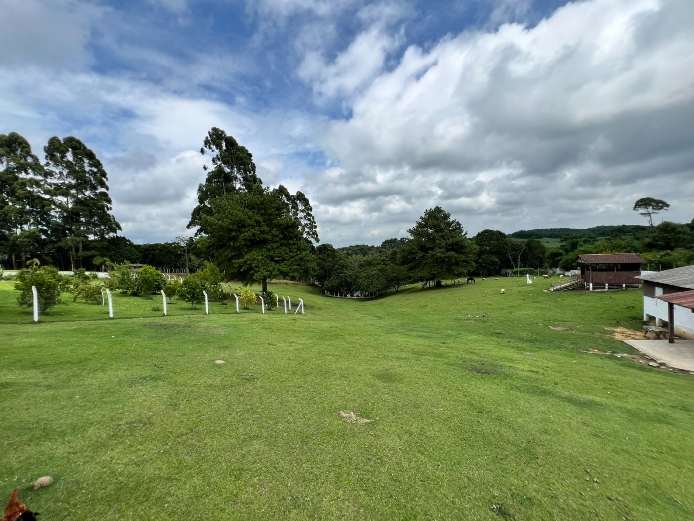 Fazenda à venda, 24200m² - Foto 33