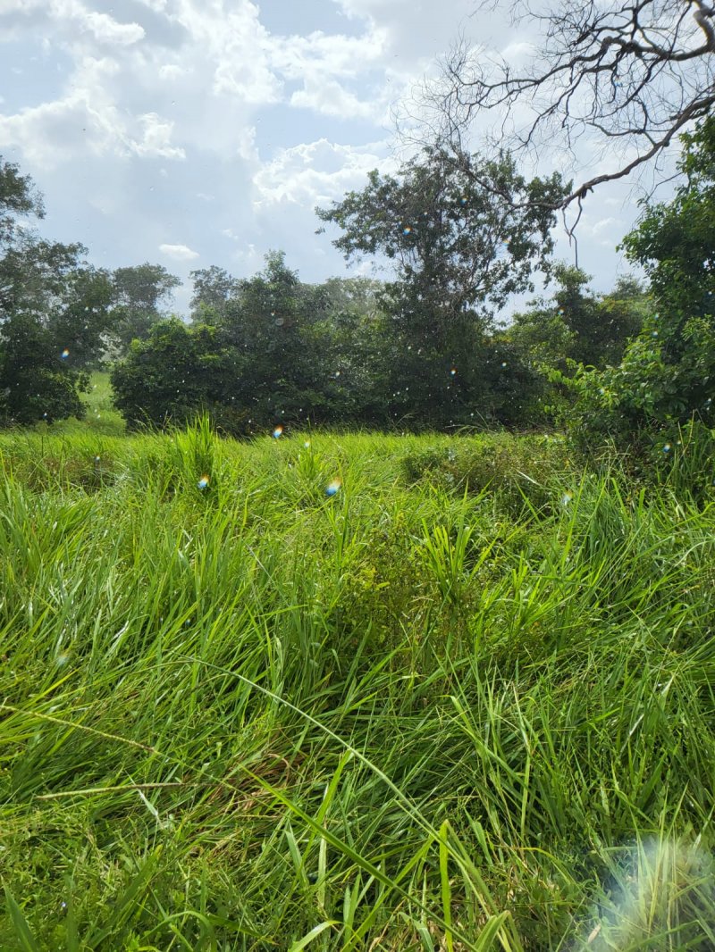 Fazenda à venda, 692m² - Foto 28