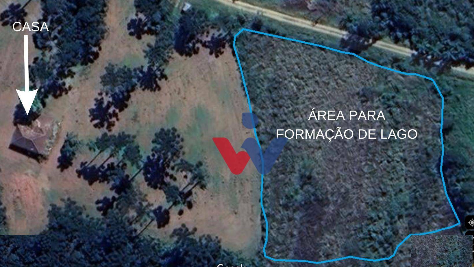 Fazenda à venda com 3 quartos, 1694000M2 - Foto 54