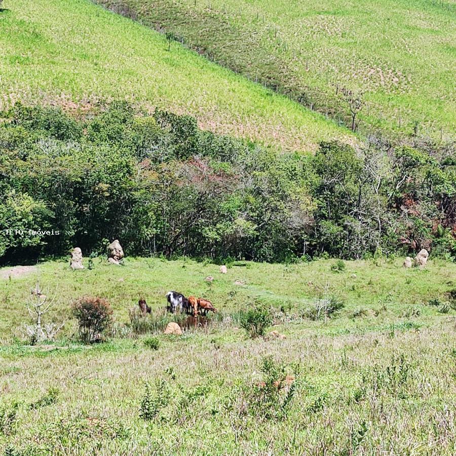 Fazenda à venda, 7m² - Foto 16