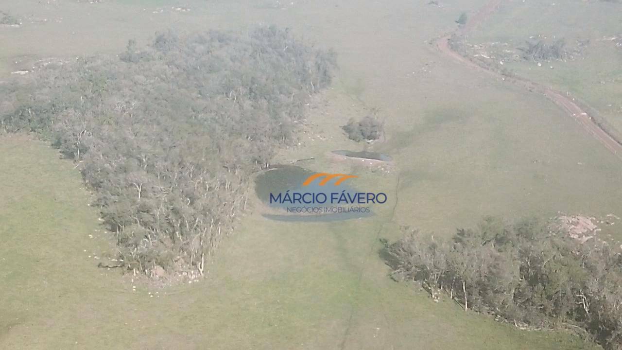 Fazenda à venda, 1065000M2 - Foto 39