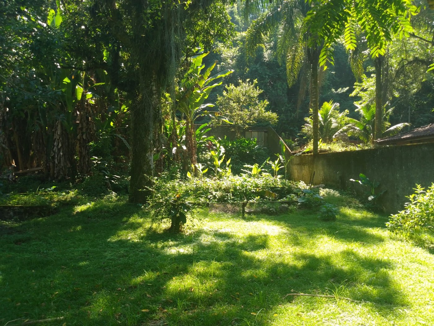 Terreno à venda, 600m² - Foto 4