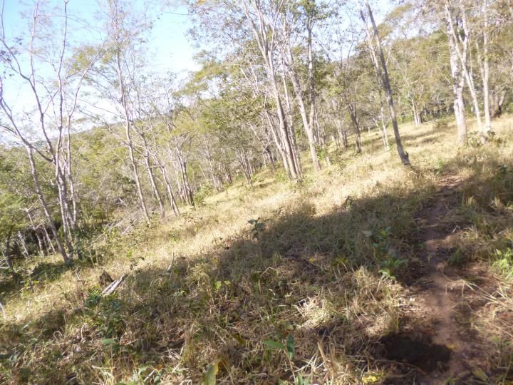 Fazenda à venda - Foto 9