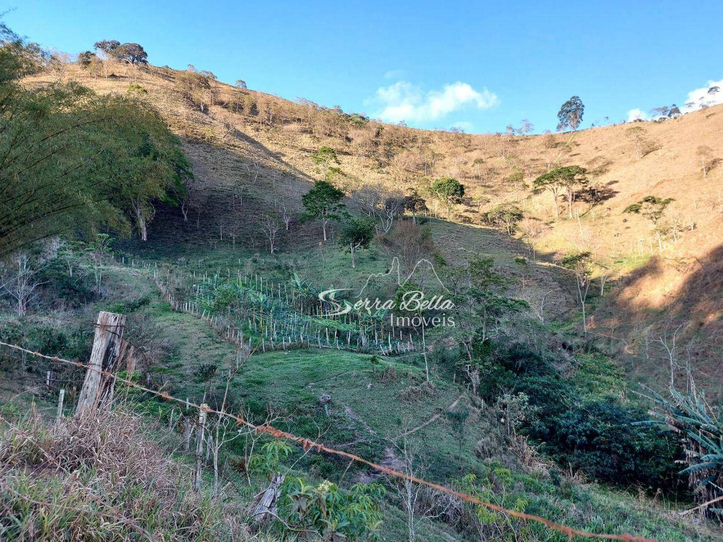 Fazenda à venda com 3 quartos, 580800M2 - Foto 25