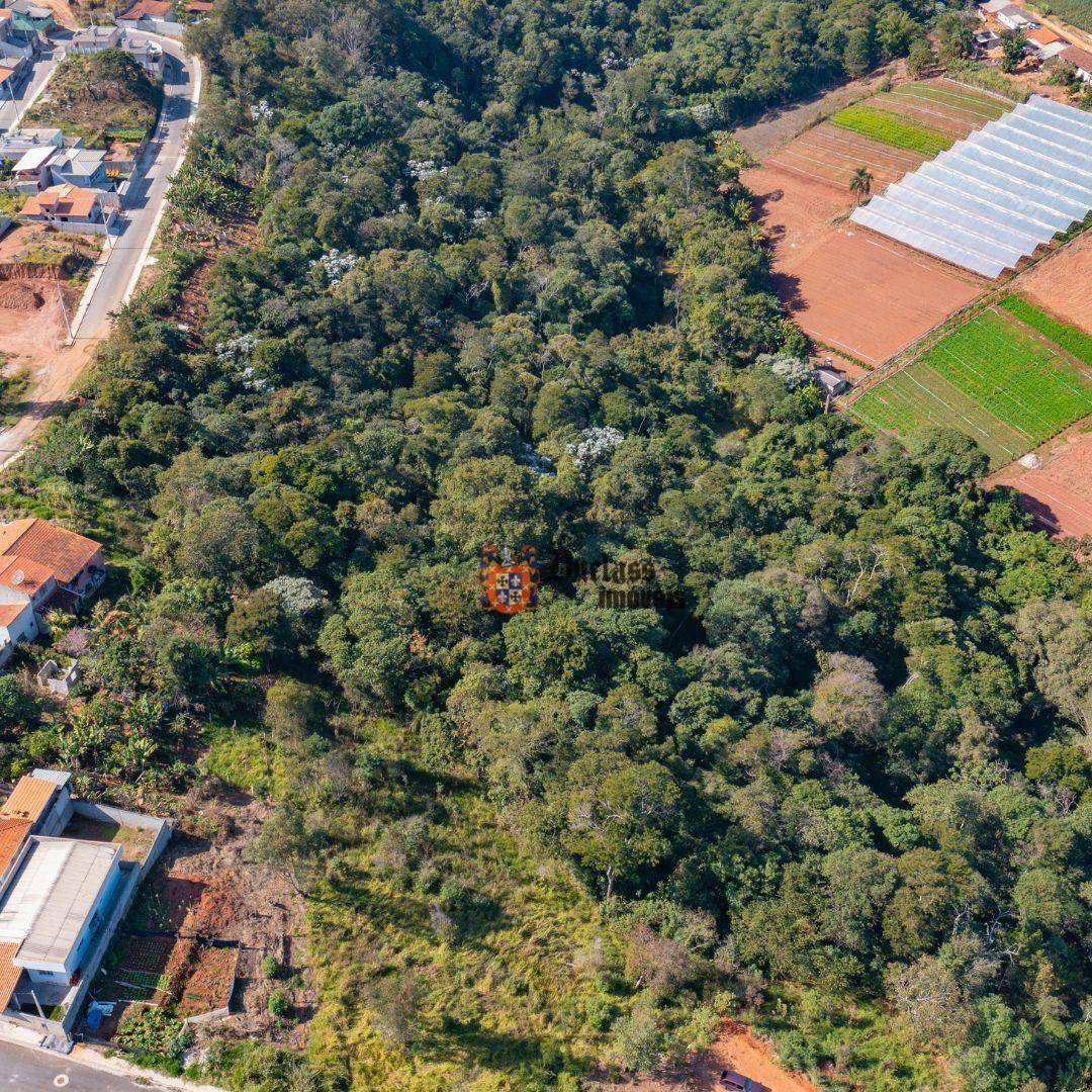 Terreno à venda, 80798M2 - Foto 7