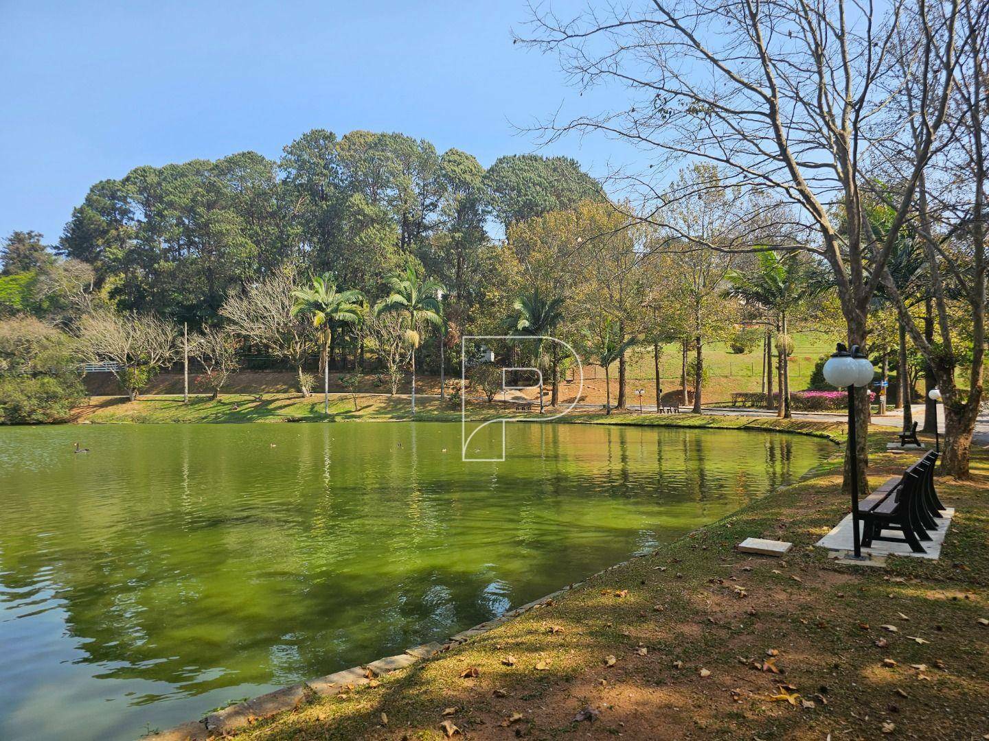 Casa de Condomínio para alugar com 4 quartos, 1000m² - Foto 79