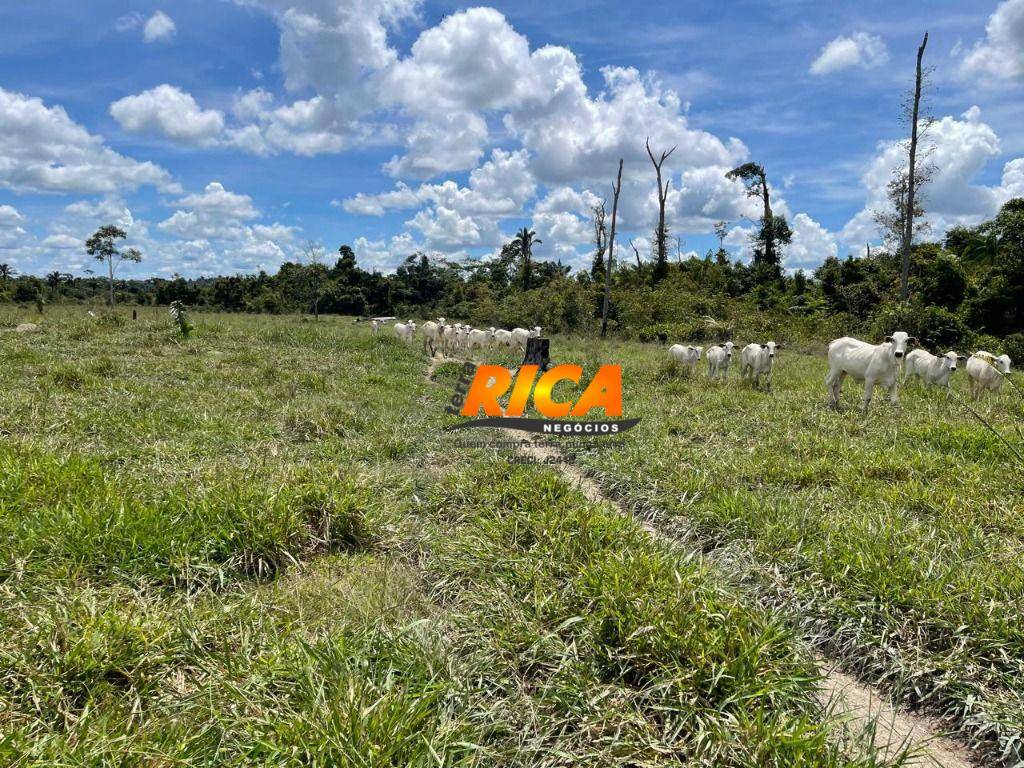 Fazenda à venda, 1110000M2 - Foto 9