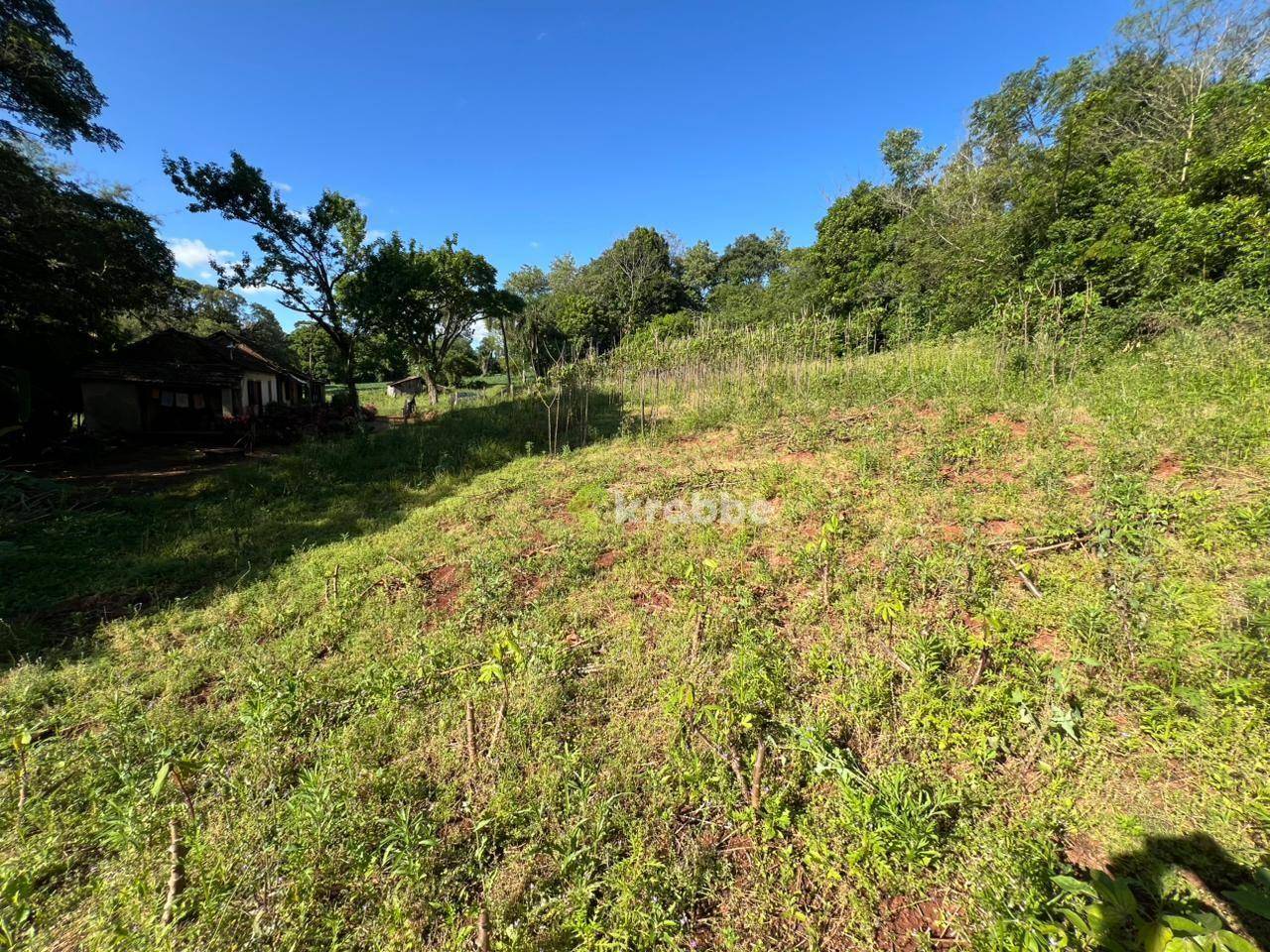 Terreno, 5 hectares - Foto 2