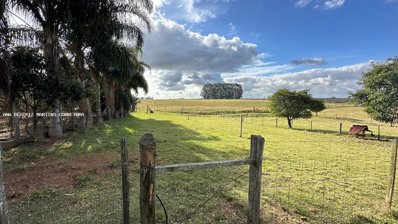 Sítio à venda com 2 quartos, 30000m² - Foto 24