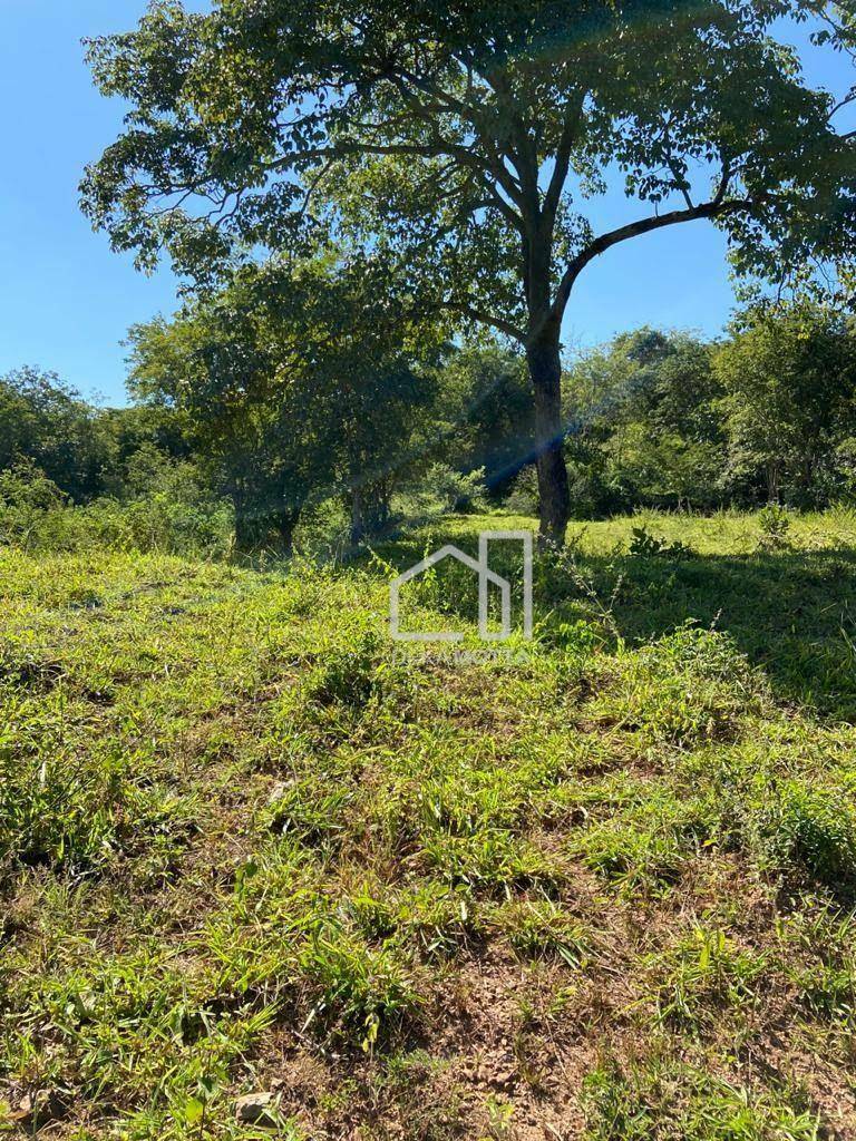 Fazenda à venda com 3 quartos, 21217700000M2 - Foto 13