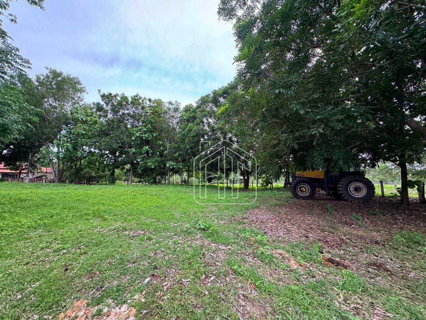 Fazenda à venda com 3 quartos, 26600000M2 - Foto 17