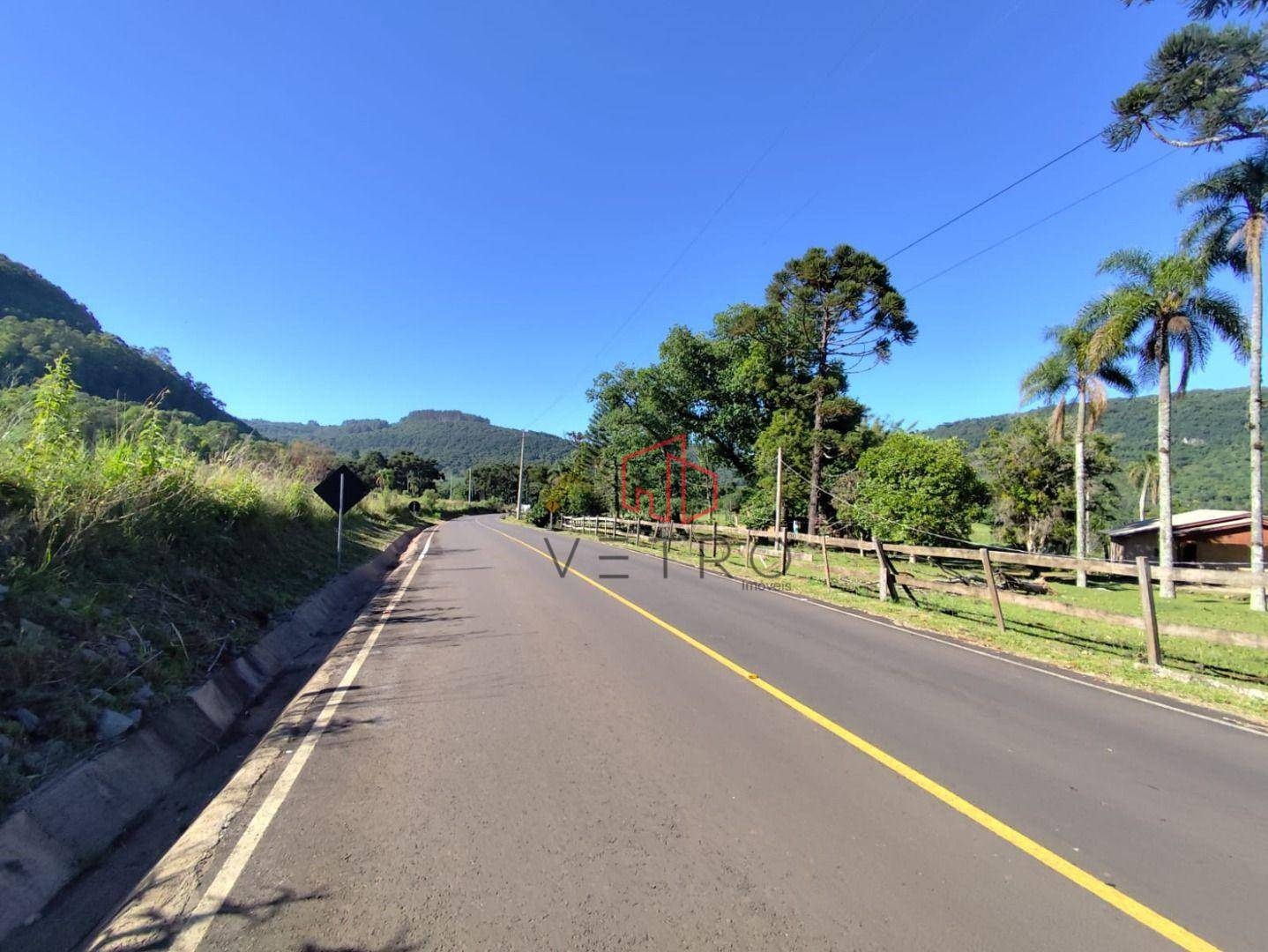 Sítio, 4 hectares - Foto 10