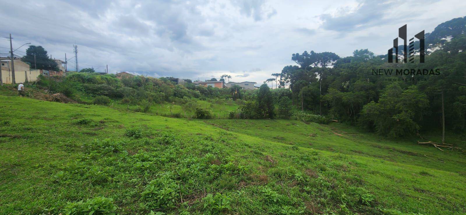 Terreno à venda, 15217M2 - Foto 10