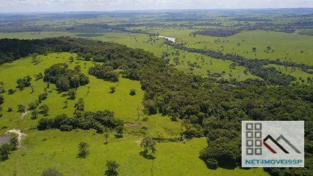 Fazenda à venda com 5 quartos, 500m² - Foto 3