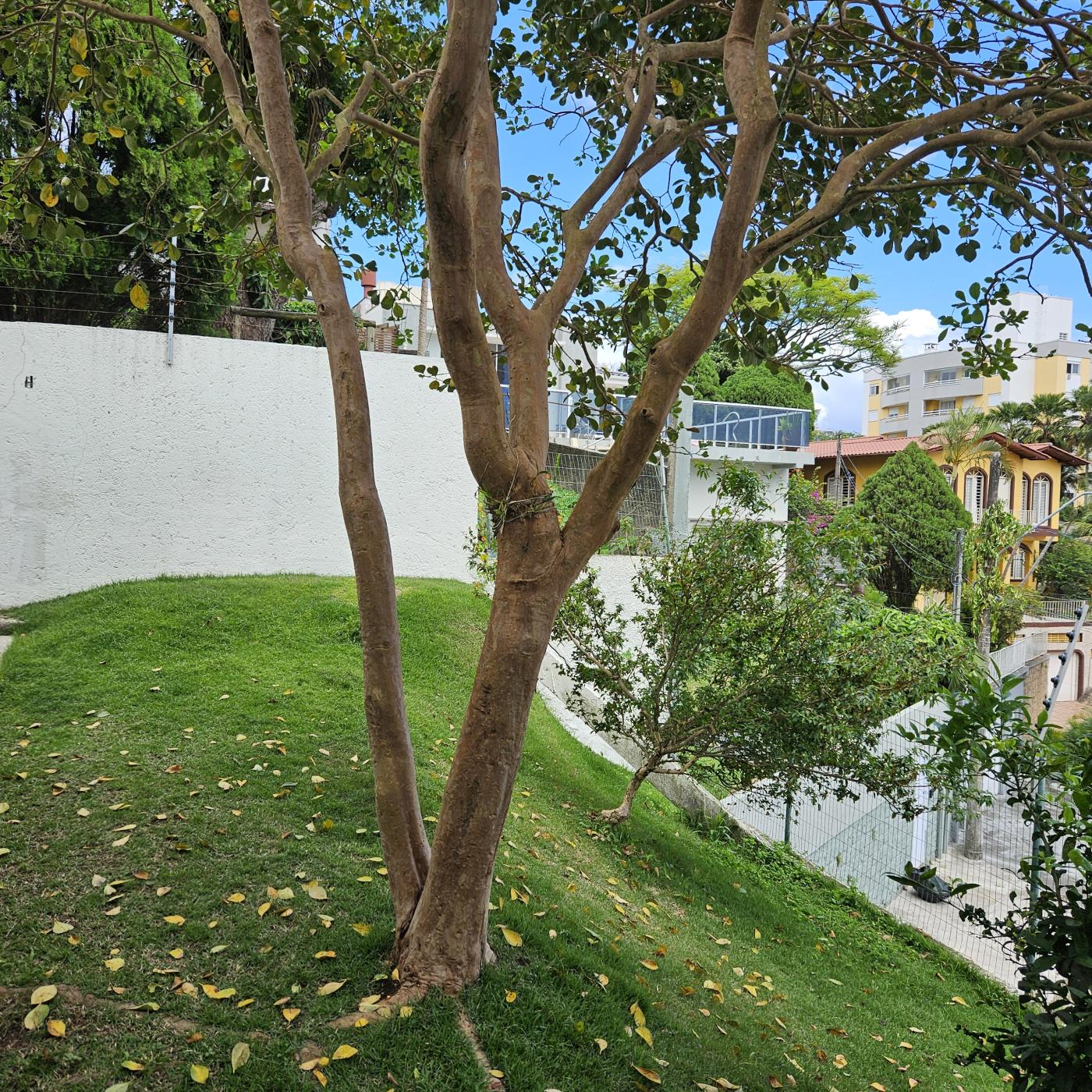 Apartamento à venda com 2 quartos, 68m² - Foto 6