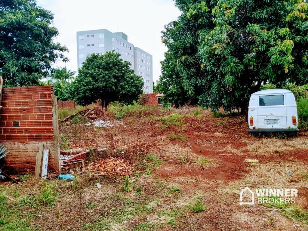 Chácara à venda com 3 quartos, 300m² - Foto 4