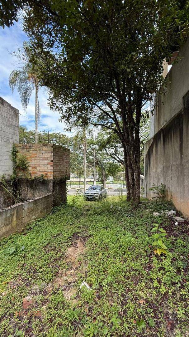 Casa de Condomínio à venda com 4 quartos, 300m² - Foto 6