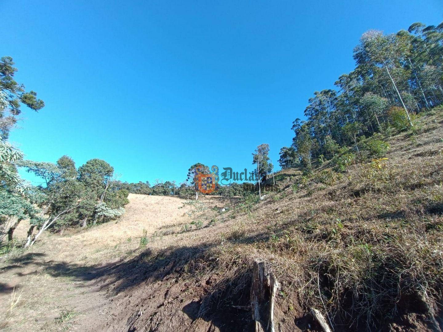 Terreno, 15 hectares - Foto 5