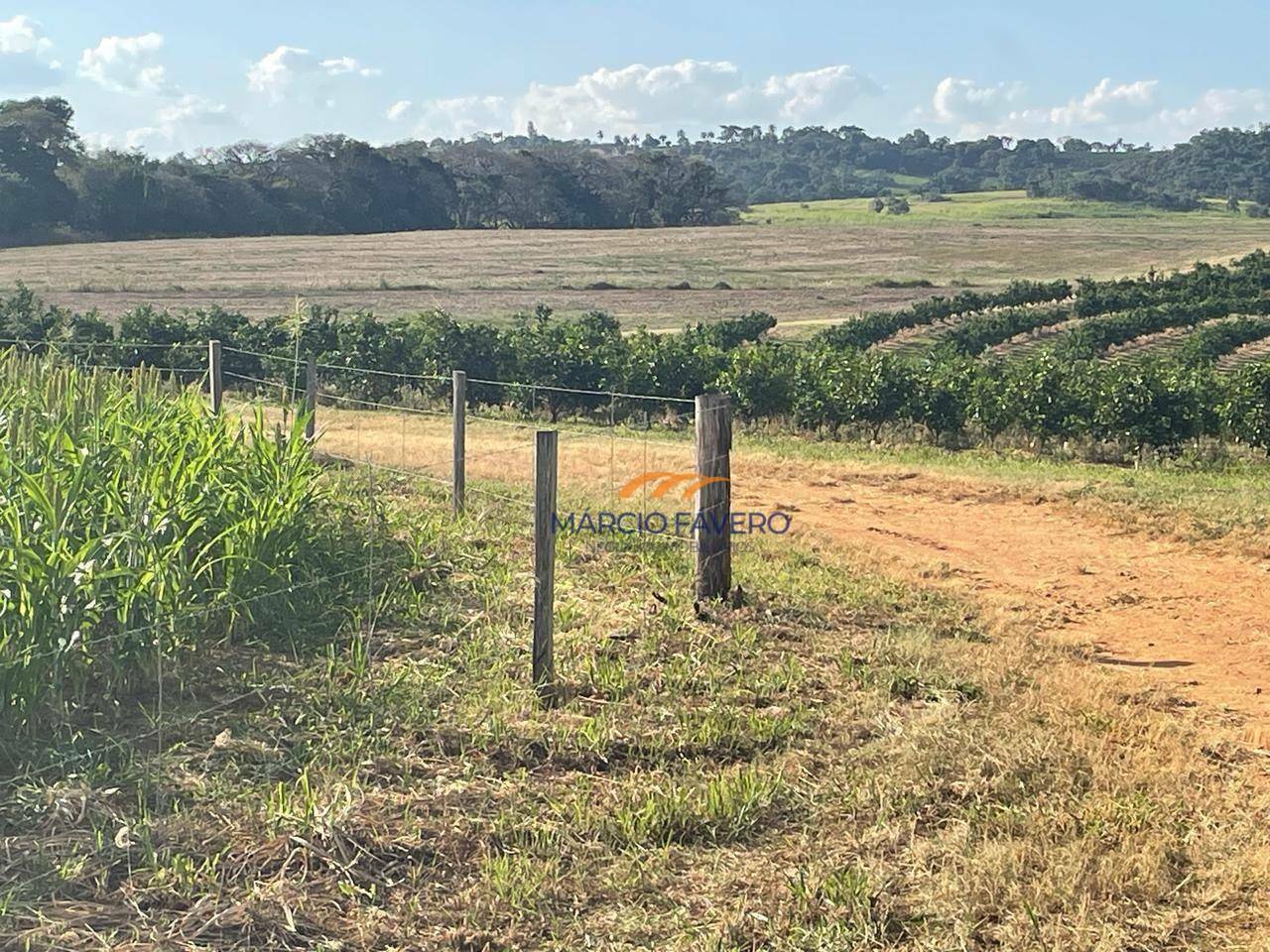 Fazenda à venda, 2274800M2 - Foto 28