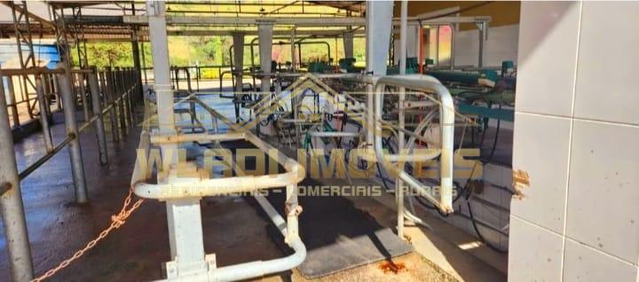 Fazenda à venda com 7 quartos, 196m² - Foto 10