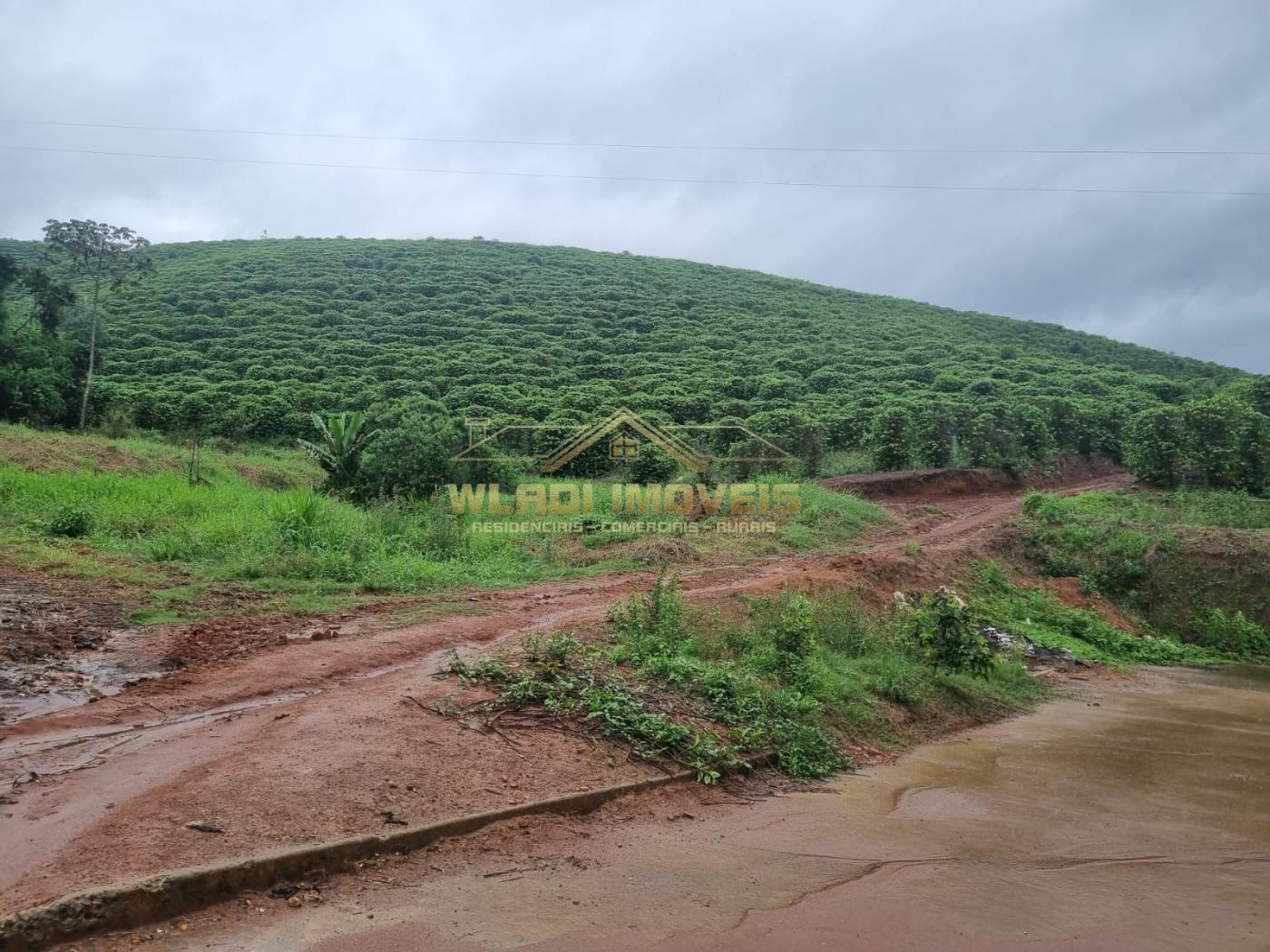 Fazenda à venda, 100m² - Foto 30