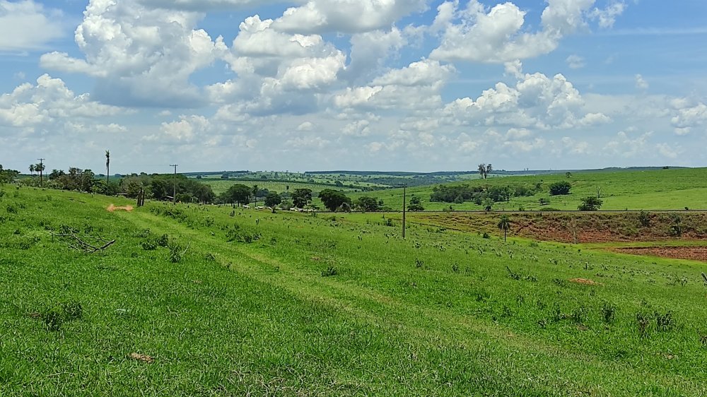 Fazenda à venda, 13m² - Foto 3