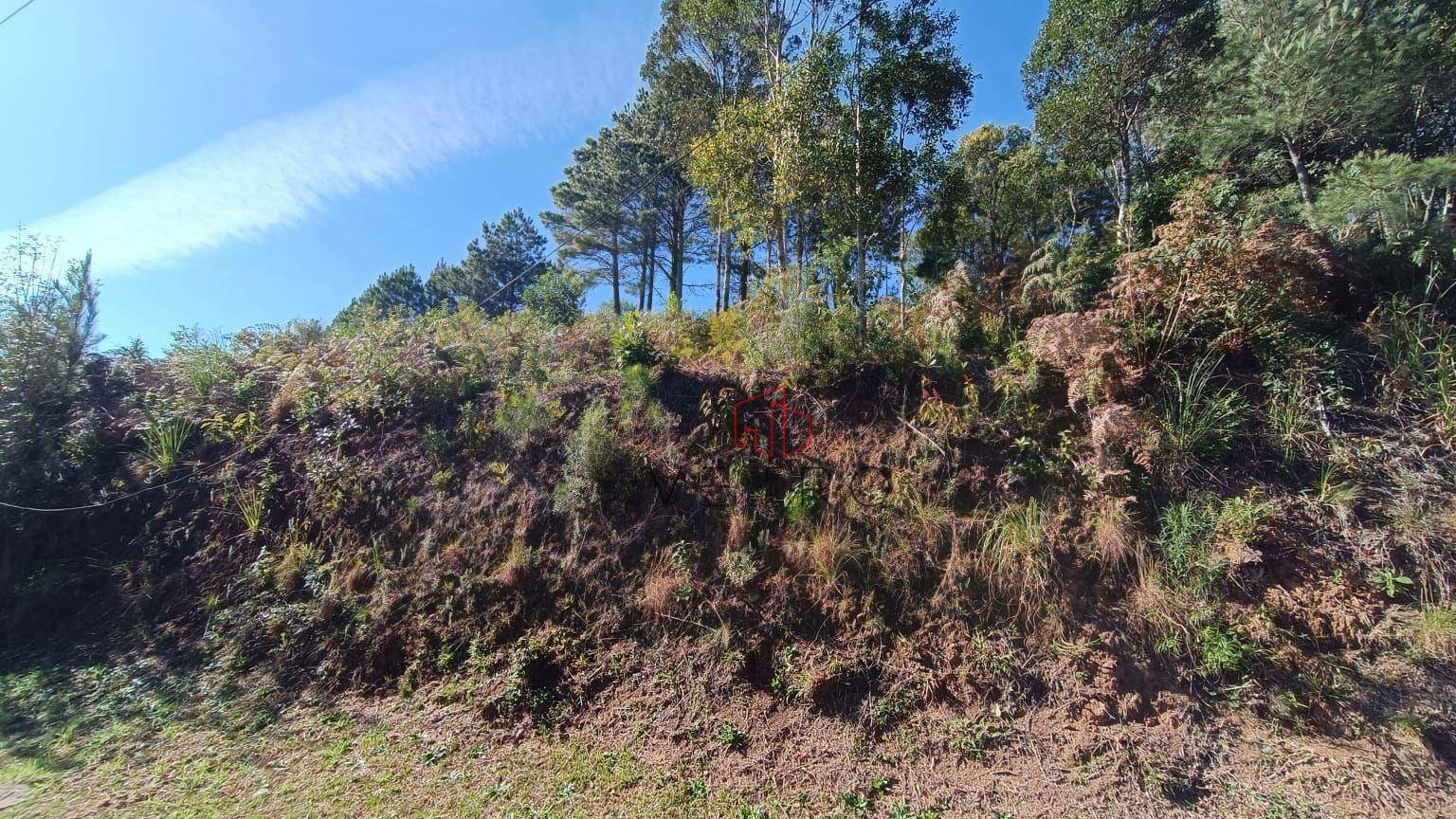 Loteamento e Condomínio à venda, 634M2 - Foto 5