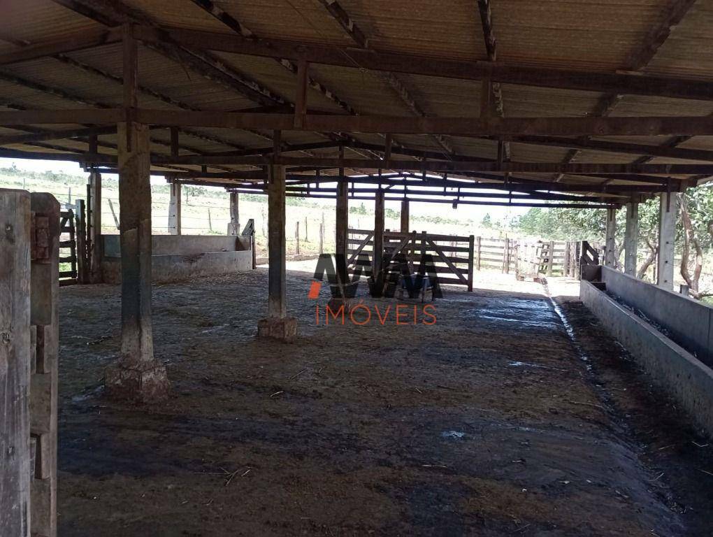 Fazenda à venda com 4 quartos, 820000M2 - Foto 37