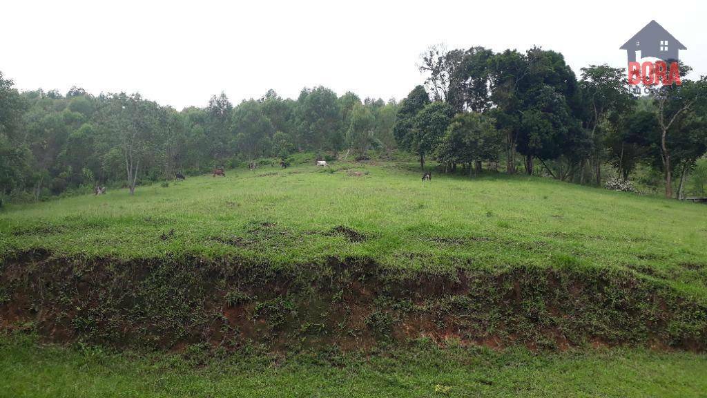 Terreno à venda, 500000M2 - Foto 18