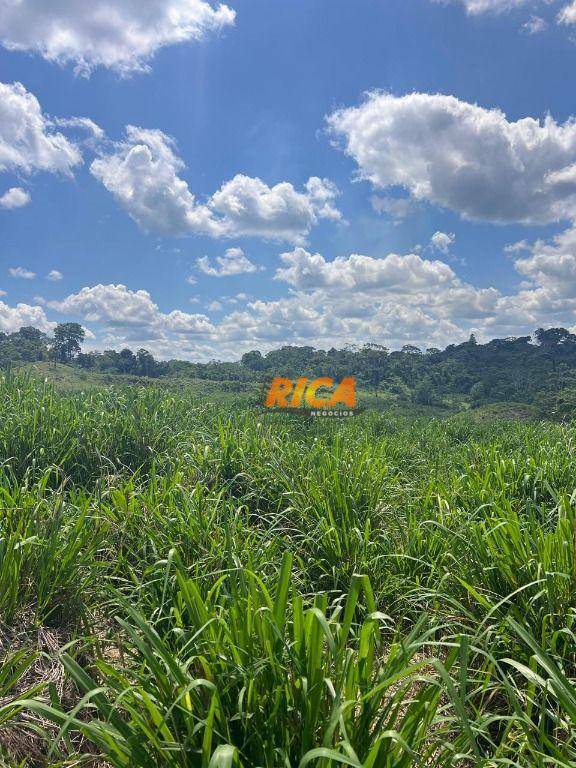 Fazenda à venda, 30000000M2 - Foto 2