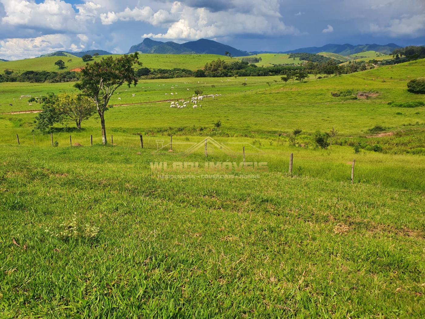 Fazenda à venda, 224m² - Foto 2