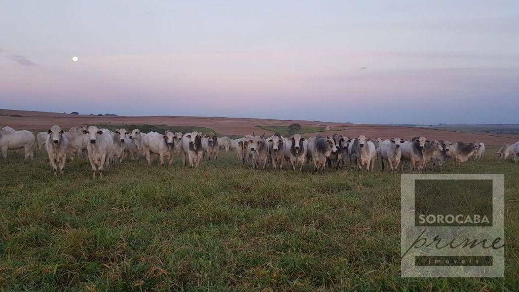 Fazenda à venda, 26136000M2 - Foto 1