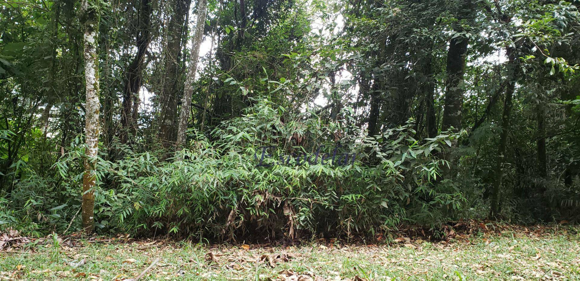 Terreno, 937 m² - Foto 5