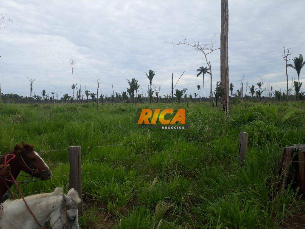 Fazenda à venda, 1150000M2 - Foto 52