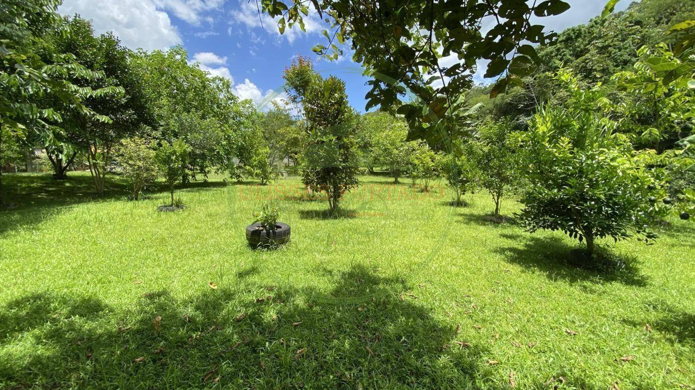 Chácara, 6000 m² - Foto 9