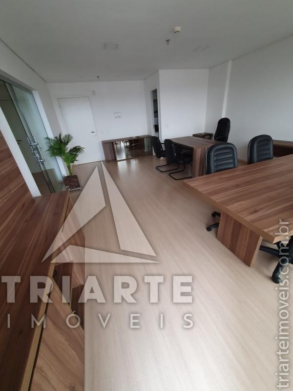 Apartamento à venda com 3 quartos, 60m² - Foto 8