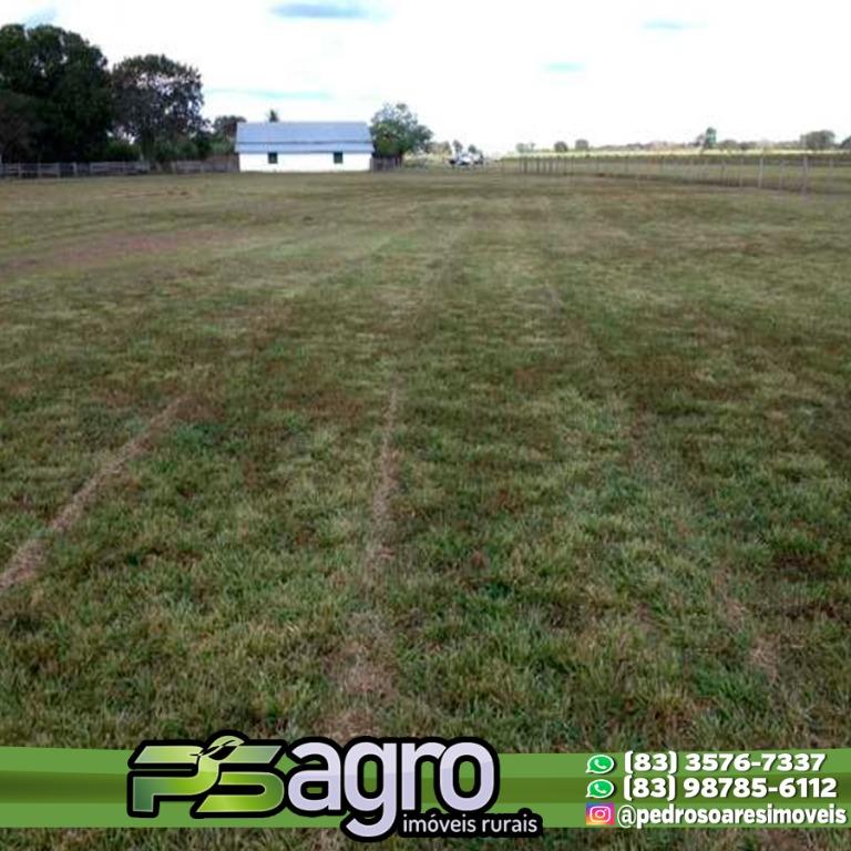 Fazenda à venda, 430000M2 - Foto 12