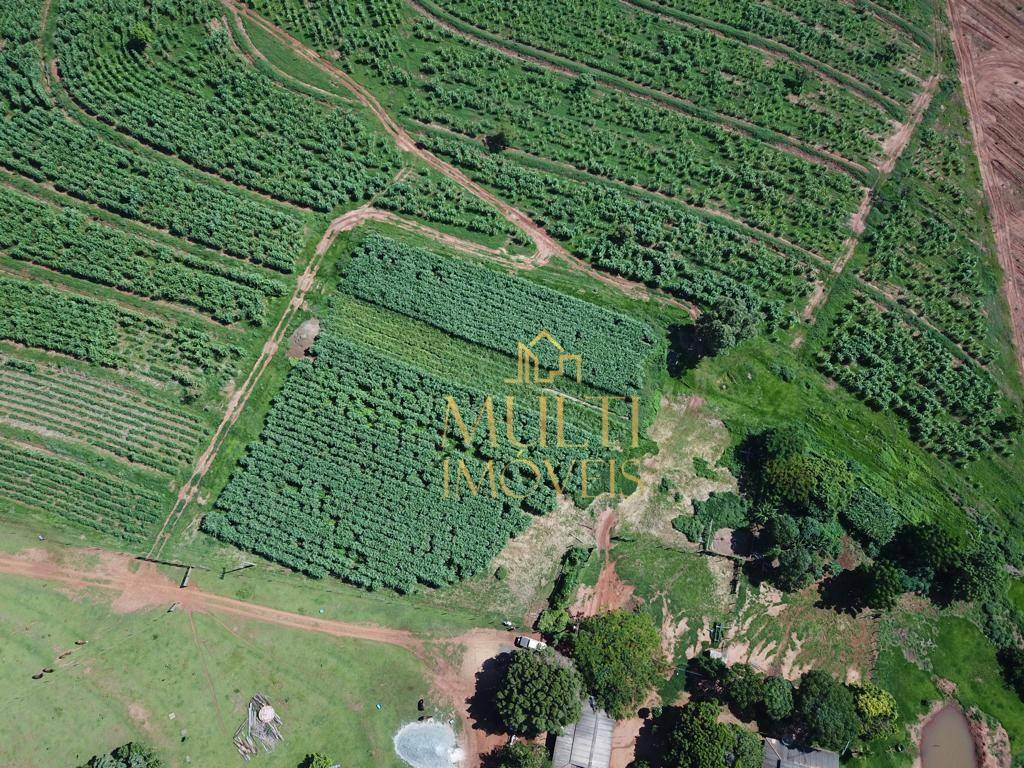 Fazenda à venda com 3 quartos, 2538338M2 - Foto 7