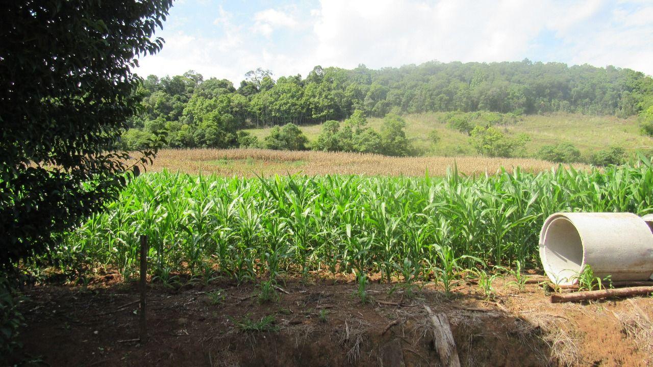 Loteamento e Condomínio à venda, 103000m² - Foto 6