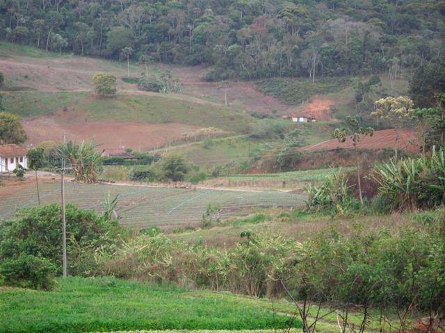 Fazenda à venda com 3 quartos, 400m² - Foto 36